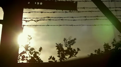 The sun beyond the barbed wire Stock Footage 54681177