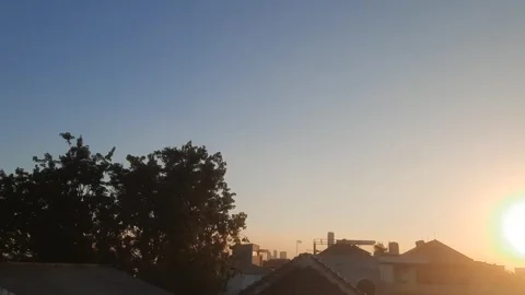 Sun Beyond Tree and Rooftops Stock Footage 336662846