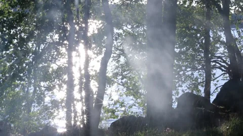 Sun blinking behind shore trees with smoke in the foreground Stock Footage 55104959