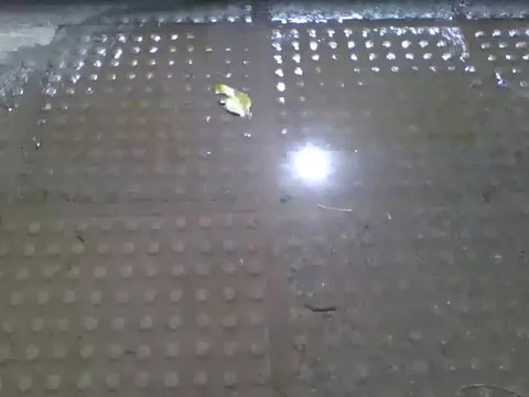 The sun blinks and shines in a puddle of water on the sidewalk reflecting Stock Footage 166431997