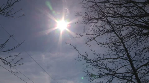Sun blue sky and tree Stock Footage 37139641