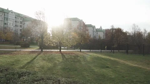The sun in the branches of trees in a city park Stock Footage 142190227