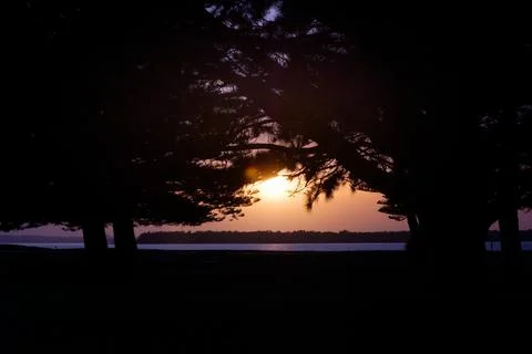 Sun breaches through trees Stock Photos