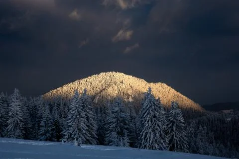 Sun breaking thru the clouds and lightning the hill with heavily snowed trees Stock Photos