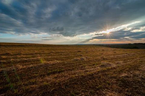 The sun breaks through the clouds over the field with golden light  Stock Photos