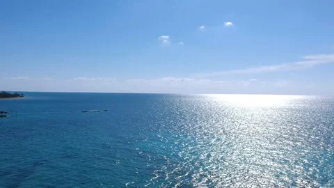 Sun Bright Shine Palm Tree Grand Lucayan Lucaya Strip Freeport Bahamas Stock Footage 88683207