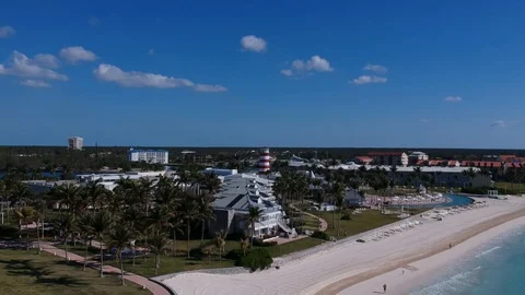 Sun Bright Shine Palm Tree Grand Lucayan Lucaya Strip Freeport Bahamas Stock Footage 88683299