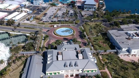 Sun Bright Shine Palm Tree Grand Lucayan Lucaya Strip Freeport Bahamas Stock Footage 88684013