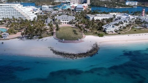 Sun Bright Shine Palm Tree Grand Lucayan Lucaya Strip Freeport Bahamas Stock Footage