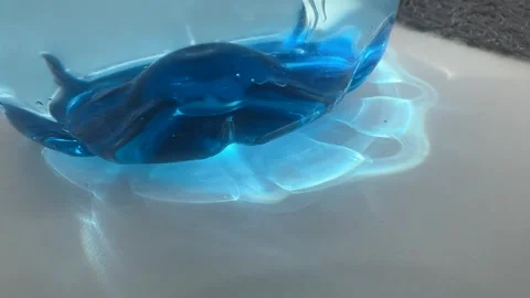 Sun bunny reflection of light through the bottom of a plastic bottle Video stock 311913476