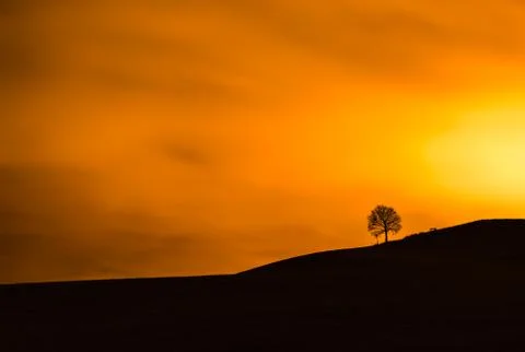The sun burn down a tree and bench Stock Photos