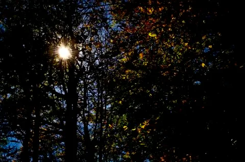 Sun Burst Stock Photos