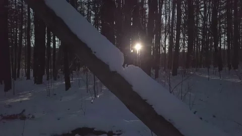 Sun Burst Through Snowy Trees in the Winter Woods of Vermont Aerial 4K Vídeos de archivo 156973450
