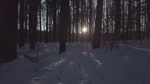 Sun Burst Through Snowy Trees on a Winter Wooded Path in Vermont Aerial 4K Vídeos de archivo 156973458