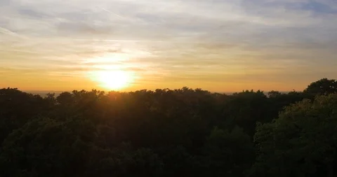 Sun bursts through trees with reveal over tree canopy to sunset Stock Footage 102399616