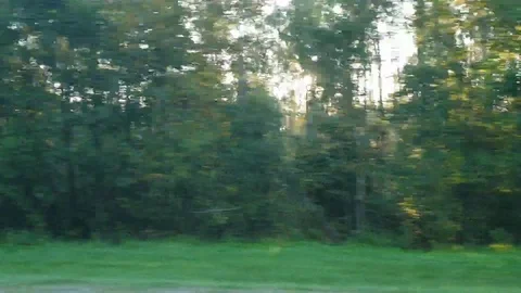 Sun by car window Stock Footage 116026252