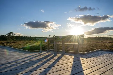 Sun casting low light during calm Sunset in summer over Wooden footpath Stock Photos