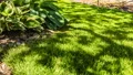Sun Casting Shadows On Freshly Cut Lawn - Time Lapse HD Footage