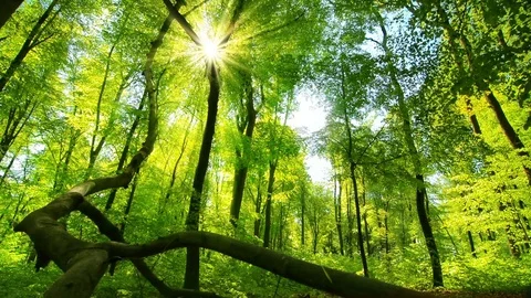 Its Sunday Stock Videos Royalty Free HD 4K Videos Pond5