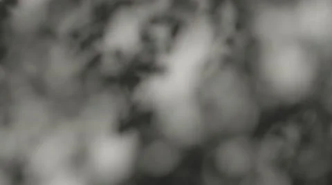 Sun casts soft shadows through foliage on a wall Stock Footage 67170720