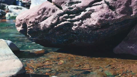 Sun caustics dancing on a riverbed with clear water Stock Footage 328220187