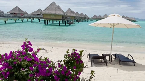 Sun Chairs in Bora Bora Tropical Resort Paradise Vacation in French Polynesia Vídeo Stock 328545514