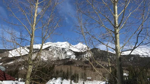 Sun Close up Tree Snow Pine Tree Video stock 156940641