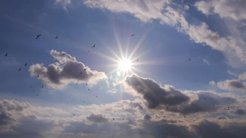 Sun, cloud and bird Video stock 138343512
