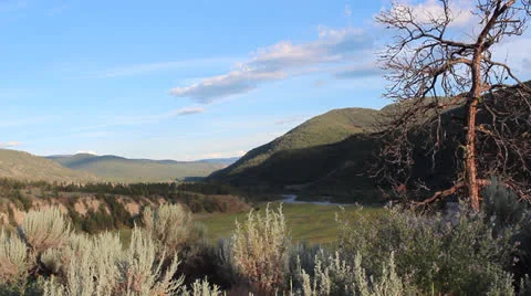 Sun Cloud Time Lapse with Dead Tree: Nicola Valley, Canada Stock Footage 25273149