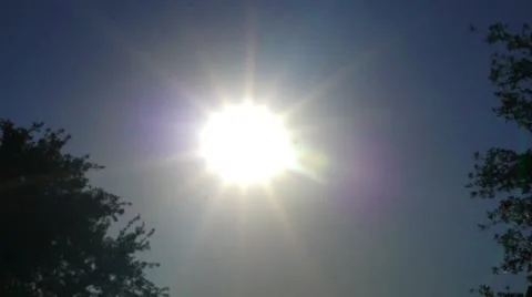 Sun In a Cloudless Blue Sky Framed By Trees Video stock 62957421