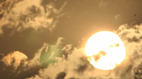Sun clouds and birds Stock Footage 33246617