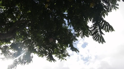 Sun In The Clouds Stock Footage 104795673