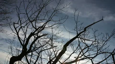 Sun, Clouds, Forest, Mountain Stock Footage 20134650