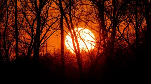 Sun, clouds + ground, trees; MADE OF RAW OUTPUT, 4K (!!!) &amp; 1080p resolutions Vidéo 22534749