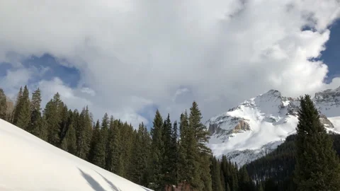 Sun cloudy Snow Pine Tree Stock Footage 156940645