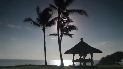 Sun comes through coconut tree 스톡 동영상 130230521