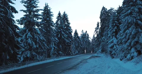 Sun coming up behind tree line on fresh winter morning street in the mountains Stock Footage 232672811