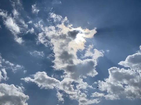 The Sun is coming Stock Footage 127210835