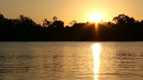 Sun Coming Out Over Tree Line Video stock 12274650