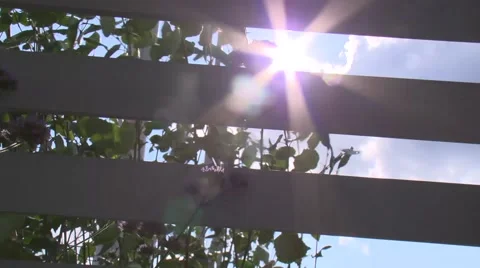 Sun coming through blinds Video stock 53272590