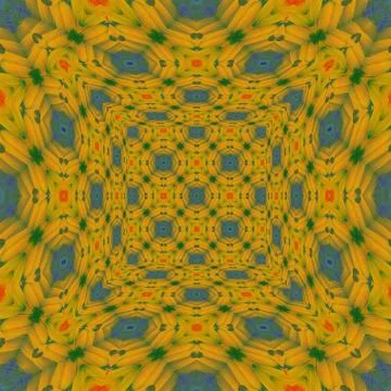 Sun conure feathers pattern イラスト素材