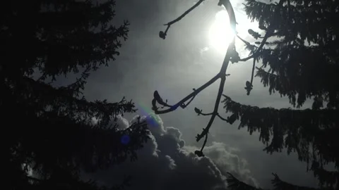 Sun the cool light Stock Footage 336222189