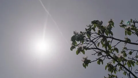 SUN COURSE Stock Footage 199092579