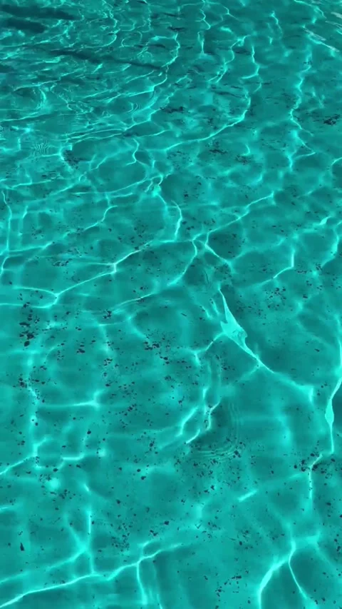 Sun Dappled Aquatic Serenity Blue Water in a Pool Stock Footage 312118805