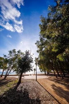 Sun-Dappled Path to the Mediterranean Stock Photos