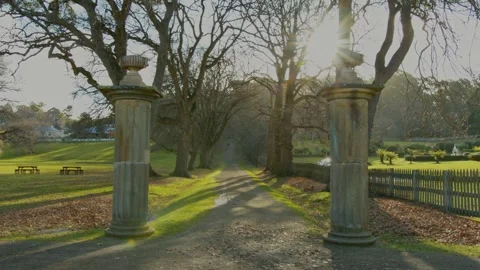 Sun dappled path in Port Arthur, Tasmania Video stock 263092575