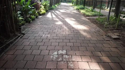 Sun-Dappled Pathway through a Garden Walkway Stock Footage 293100082