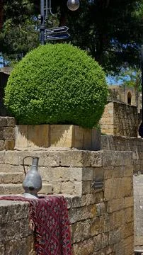 Sun-dappled pathways wind through vibrant greenery in Derbent's iconic park, whe Stock Photos