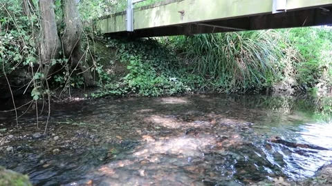 Sun dappled stream flowing smoothly under a wooden footbridge Stock Footage 145901870