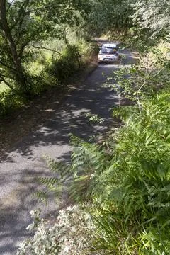 Sun-Dappled Streamside Path Stock Photos